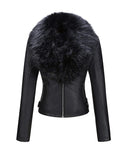 Foxy Short Jacket,  - Glam Necessities By Sequoia Wilson
