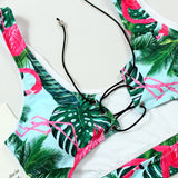 Tropical Cut Swimsuits(Different Styles), Swimwear - Glam Necessities By Sequoia Wilson